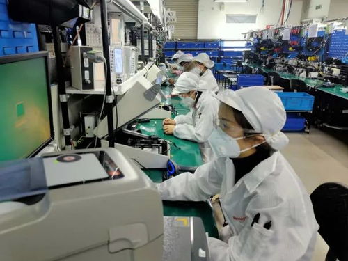 數據驅動復蘇 2月失業率回落至6.2% 全面復工與數據處理服務助力勞動力市場回暖